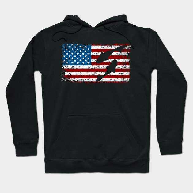 Patriotic Swimming Fish Hoodie by RadStar